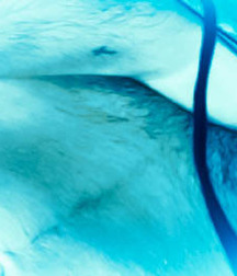 1000 handsome guys in Aqua 007 5d4d1a3ed0404.jpg