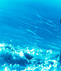 1000 handsome guys in Aqua 007 5d4d1a4b1267b.jpg