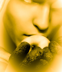 1000 handsome Guys yellow 007 5d4d1b07536ee.jpg