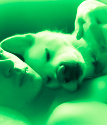 1000 handsome Guys green 009 5d4fc0bc8318f.jpg