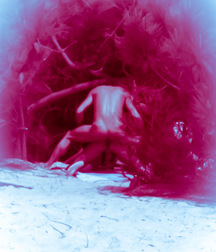 1000 handsome Guys redblue 011 5d4fc3b5b343a.jpg