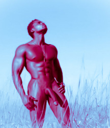 1000 handsome Guys redblue 011 5d4fc3bb243ea.jpg