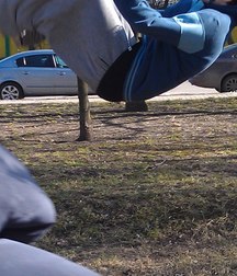 ребята 59e857cf1a78a.jpg