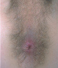 Jenya 576fe7f8d43e9.jpg