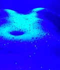 Me Blue :) 57112752cb105.jpg