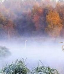 Mickey & Friends Boys Porn (and a Hedgehog) 5f96c030b8a7d.jpg