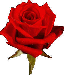 me 5959bb301747a.gif