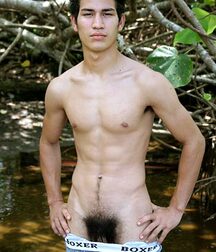 In the jungles of the Amazon - NARDI  5ee2b02e26070.jpg