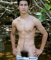 In the jungles of the Amazon - NARDI  5ee2b0443275d.jpg