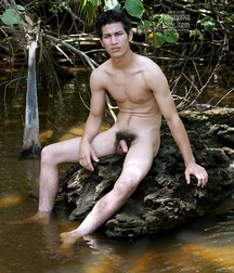 In the jungles of the Amazon - NARDI  5ee2b082be665.jpg