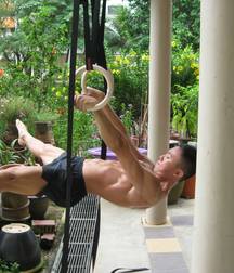 NCL23  - Muscle Mix 1 57460ab40100d.jpg