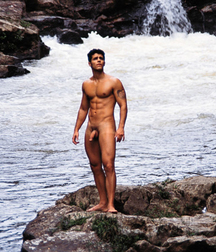 NCL23  - Muscle Mix 5 57465e5a72a59.jpg