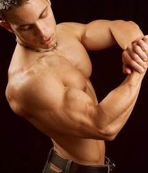 NCL23  - Muscle Mix 6 57466655456b4.jpg