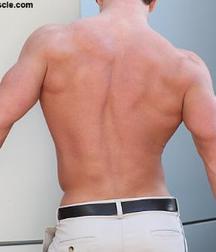 NCL23  - Muscle Mix 7 57466fed62e22.jpg