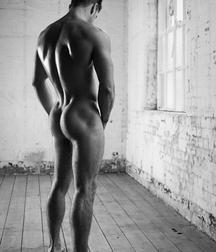 NCL23  - Muscle Mix 10 57470591ccc0b.jpg
