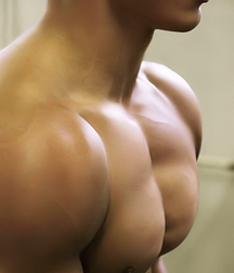 NCL23  - Muscle Mix 12 57474fae87782.jpg