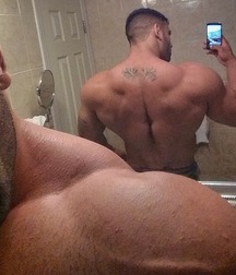 NCL23  - Muscle self pics mix 3 574b7eb3ea2c3.jpg
