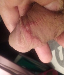 Ben 574d577695293.jpg