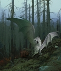 Lands I Would Like To Vissit 573d8a9fd9e63.jpg
