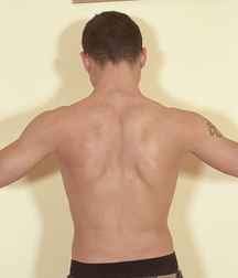 Young & hairy 579ba8049caba.jpg