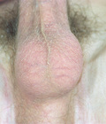 Boy with dildo 57a918fb62ad2.jpg