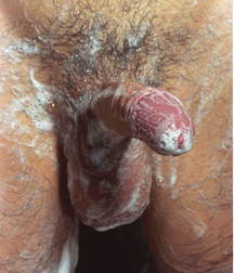 Teen model 57ca15b0a2aec.jpg