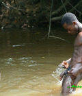 Africa 57d10d5aa729d.jpg