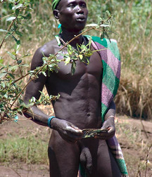Young black hotties 57d332f61a201.jpg