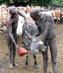 Young black hotties 57d3336a0dae5.jpg