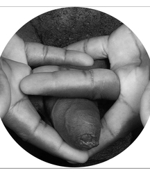 Some art 594724790f5f5.jpg