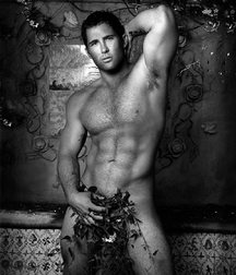 For pits' lovers 5a670a22f2ad8.jpg