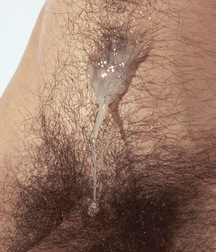 Twinks porn has got a big dick 5f1cae8211802.jpg