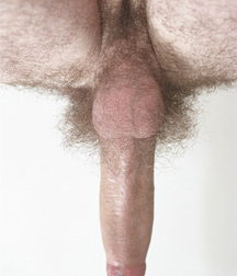 boys porn hairy horny bottom at the age of 19 5f3af718362fe.jpg