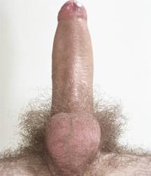 boys porn hairy horny bottom at the age of 19 5f3af71f4f132.jpg