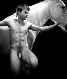 Harry and a friend celebrity twink porn 61dcadfc11f35.jpg