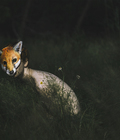 Art photography - color  (part 1) 57513a4a5b2d1.jpg