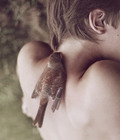 ART PHOTOGRAPHY - COLOR (PART 2) 577766ea7858d.jpg