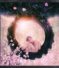 ART PHOTOGRAPHY - COLOR (PART 2) 577766fad6d3f.jpg