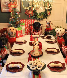 miscellaneous 5a5599740d73f.jpg