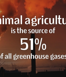 miscellaneous 5a5599759d1ee.jpg