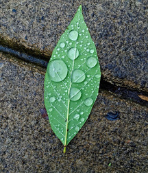 miscellaneous 5a55997872fbd.jpg