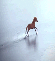 WT B -GIFs - 1 57dcfc7d754b2.gif