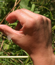 Yanosh 5929b3e7d7af8.jpg