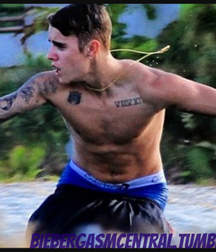 Uploaded by:junglethree