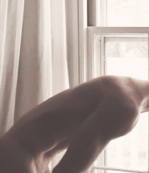 JB's Boy Pic's - 99 57d9d294a34f3.gif