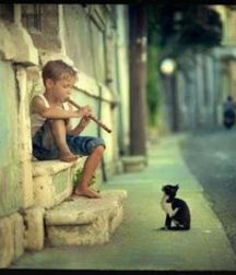 JB's Boy Pic's - 102 57db17c943739.jpg