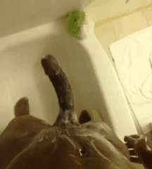 JB's Boy Pic's - 129 57ec1844d5a7f.gif
