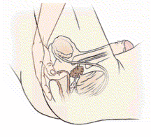JB's Boy Pic's - 146 57f865ac5f236.gif