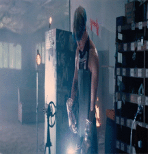 JB's Boy Pic's - 149 57f9a73006ce0.gif