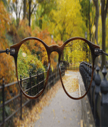 JB's Boy Pic's - 152 57fada189356f.gif